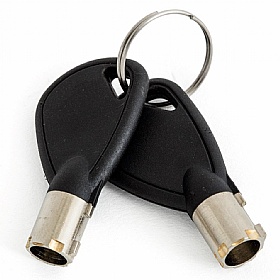 Phoenix Dione Laptop and Hotel Safes