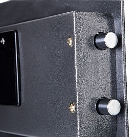 Phoenix Dione Laptop and Hotel Safes