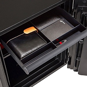 Phoenix Spectrum Plus LS6010 Series Security Safes