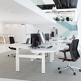 Progress Plus Electric Height Adjustable 2 Person Rectangular Back to Back Desks - Office Desks