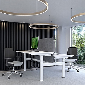 Progress Plus Electric Height Adjustable 2 Person Shallow Rectangular Back to Back Desks - Office Desks