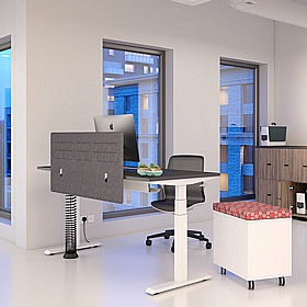 Progress Plus Electric Height Adjustable Shallow Rectangular Office Desks - Office Desks