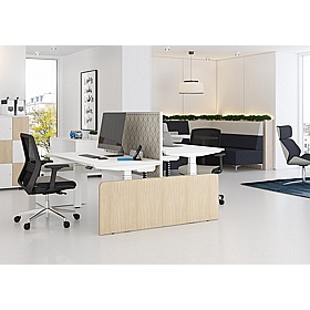 Progress Plus Decorative End for Back to Back Height Adjustable Desks - Office Desks