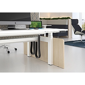 Progress Plus Decorative End for Back to Back Height Adjustable Desks - Office Desks