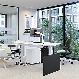 Progress Plus Decorative End for Height Adjustable Desks - Office Desks