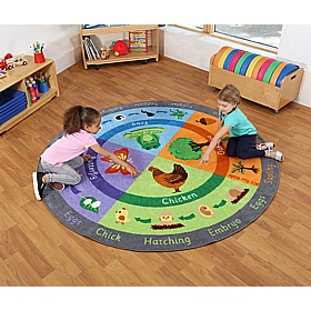 Life Cycle Carpet - School Furniture