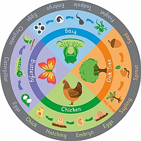 Life Cycle Carpet - School Furniture
