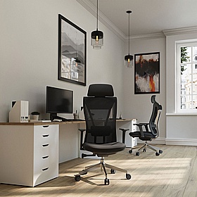 Moritz Eco-Friendly 24 Hour Ergonomic Mesh Office Chair - Office Chairs