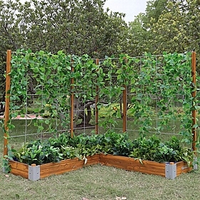 Little Garden Corner Fence Planter - School Furniture