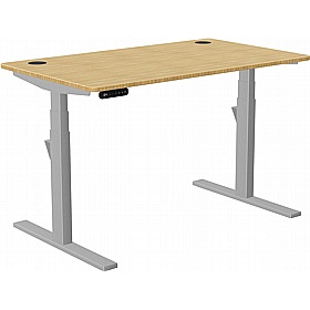 SmartLine Pro Bamboo Sit Stand Office Desks - Office Desks