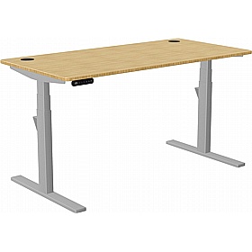 SmartLine Pro Bamboo Sit Stand Office Desks - Office Desks
