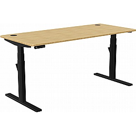 SmartLine Pro Bamboo Sit Stand Office Desks - Office Desks