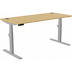 SmartLine Pro Bamboo Sit Stand Office Desks - Office Desks