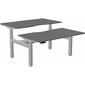 SmartLine Pro 2 Person Back to Back Sit Stand Office Desks - Office Desks