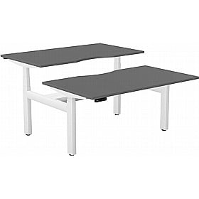 SmartLine Pro 2 Person Back to Back Sit Stand Office Desks - Office Desks