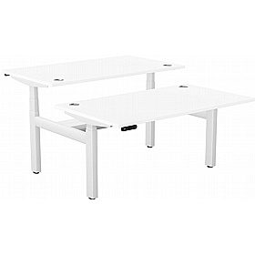 SmartLine Pro 2 Person Back to Back Sit Stand Office Desks - Office Desks