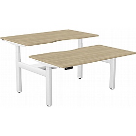 SmartLine Pro 2 Person Back to Back Sit Stand Office Desks - Office Desks