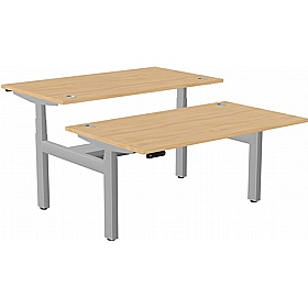 SmartLine Pro 2 Person Back to Back Sit Stand Office Desks - Office Desks