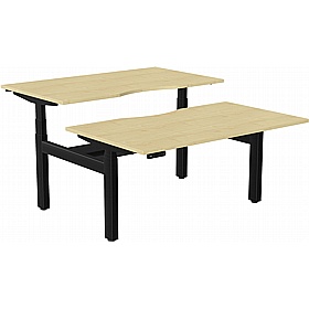 SmartLine Pro 2 Person Back to Back Sit Stand Office Desks - Office Desks