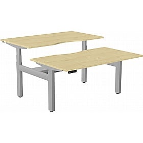 SmartLine Pro 2 Person Back to Back Sit Stand Office Desks - Office Desks