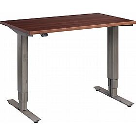 Advance Mini Dual Motor Electric Height Adjustable Office Desks - Office Desks