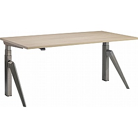 Rise Dual Motor Electric Height Adjustable Office Desks - Office Desks