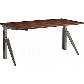 Rise Dual Motor Electric Height Adjustable Office Desks - Office Desks