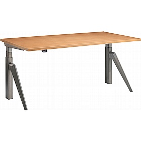 Rise Dual Motor Electric Height Adjustable Office Desks - Office Desks