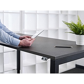 Crown Dual Motor Electric Height Adjustable Office Desks - Office Desks