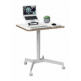 Leitz Ergo Compact Mobile Sit Stand Desk - Office Desks