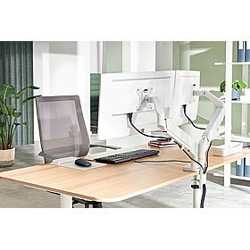 Leitz Ergo Dual Monitor Arm - Office Accessories
