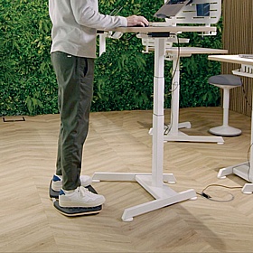 Leitz Ergo Active Balance Board