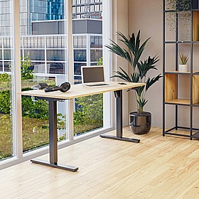 Guru Electric Height Adjustable Office Desks