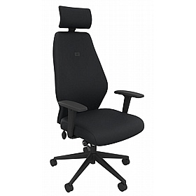 Solo High Back Ergonomic Posture Task Chairs with Headrest