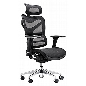 Dorsum Heavy Duty Ergonomic Mesh Office Chair