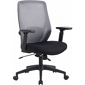 Team Ergonomic Mesh Office Chair