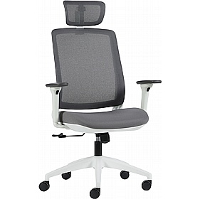 Scope Mesh Office Manager Chairs