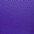 Dark Purple Dark Purple
