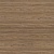 Swiss Elm